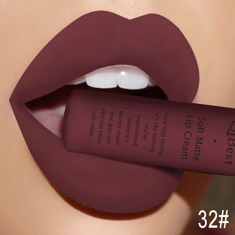 Qibest Makeup Brand Matte Lipstick (9)
