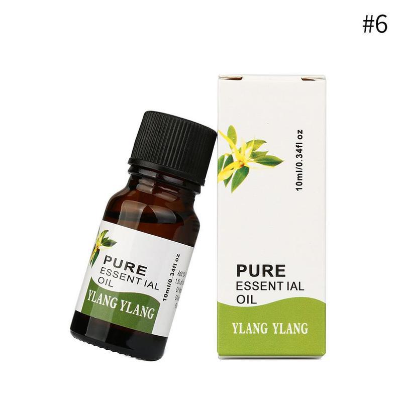 Aromatherapy Essential Oil 10ml (6)
