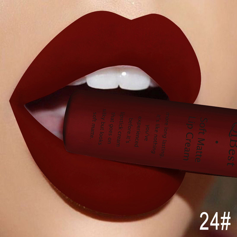 Qibest Makeup Brand Matte Lipstick (7)