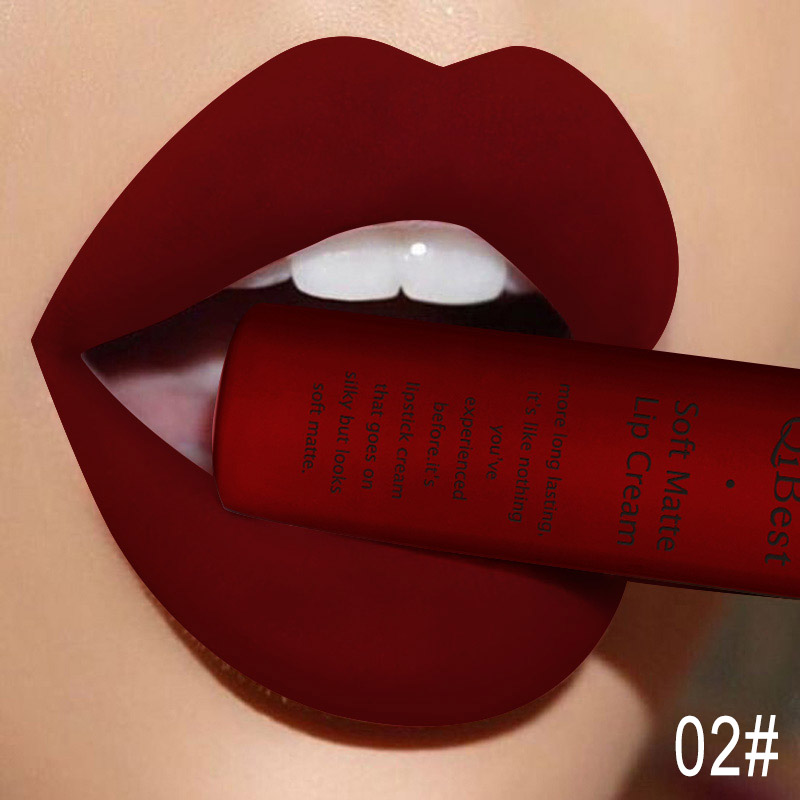 Qibest Makeup Brand Matte Lipstick (10)
