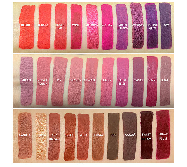 Neutral Lip Gloss Lipstick Matte Gloss Velvet Glaze Label (6)