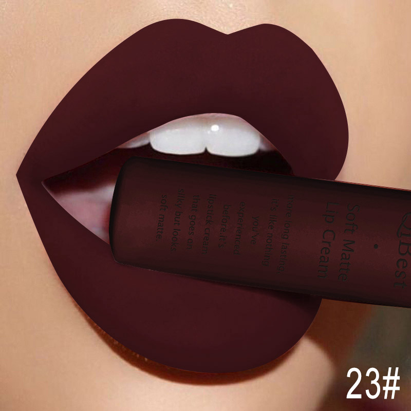 Qibest Makeup Brand Matte Lipstick (14)