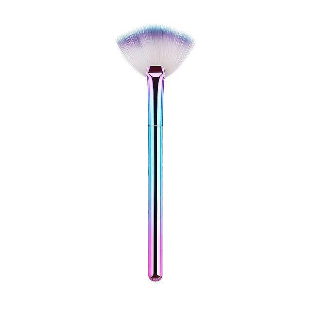 Fan Makeup Brush (12)