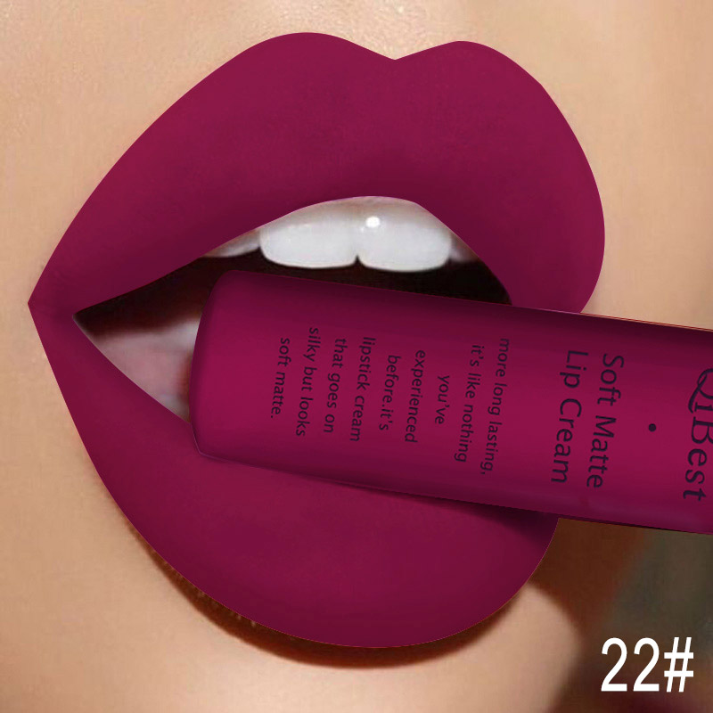 Qibest Makeup Brand Matte Lipstick (12)