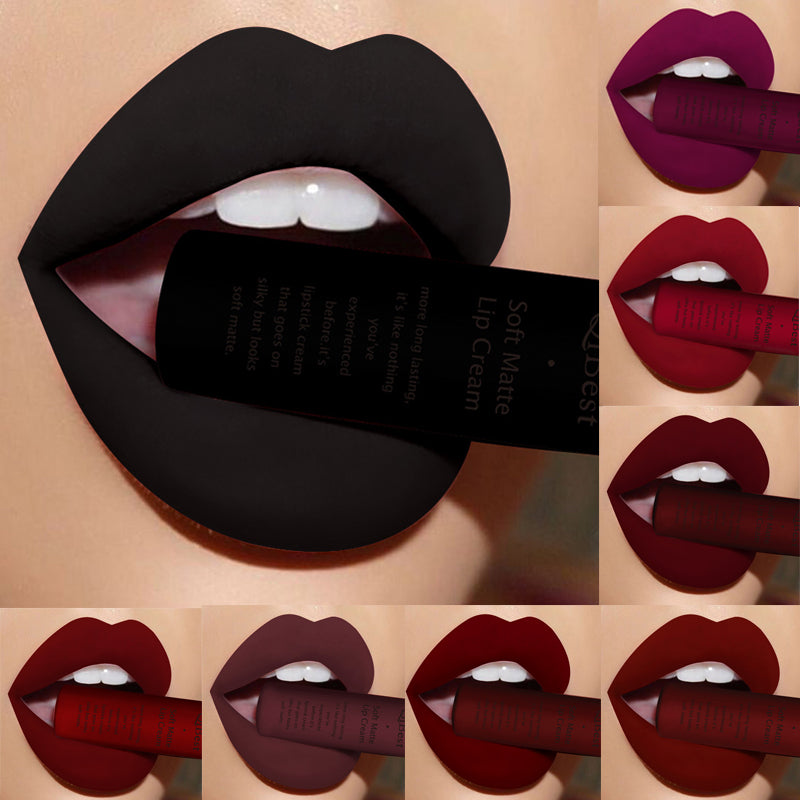 Qibest Makeup Brand Matte Lipstick (3)