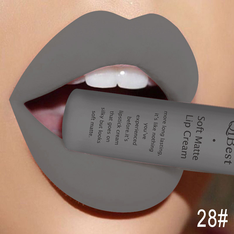 Qibest Makeup Brand Matte Lipstick (5)
