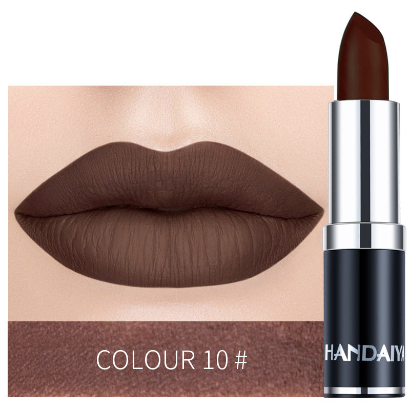 Long Lasting Moisturizing Lipstick (9)