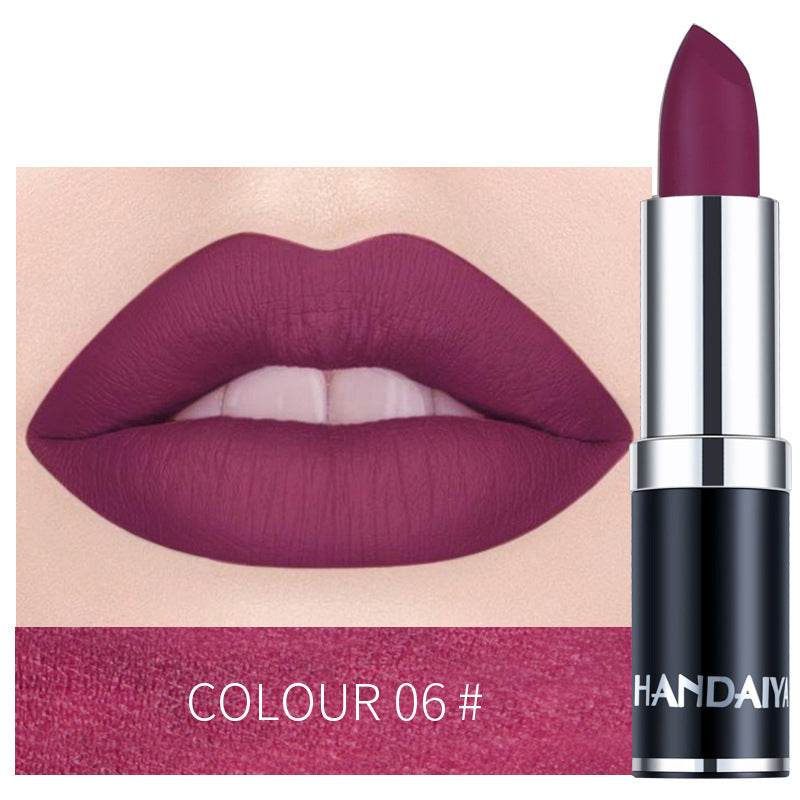 Long Lasting Moisturizing Lipstick (12)