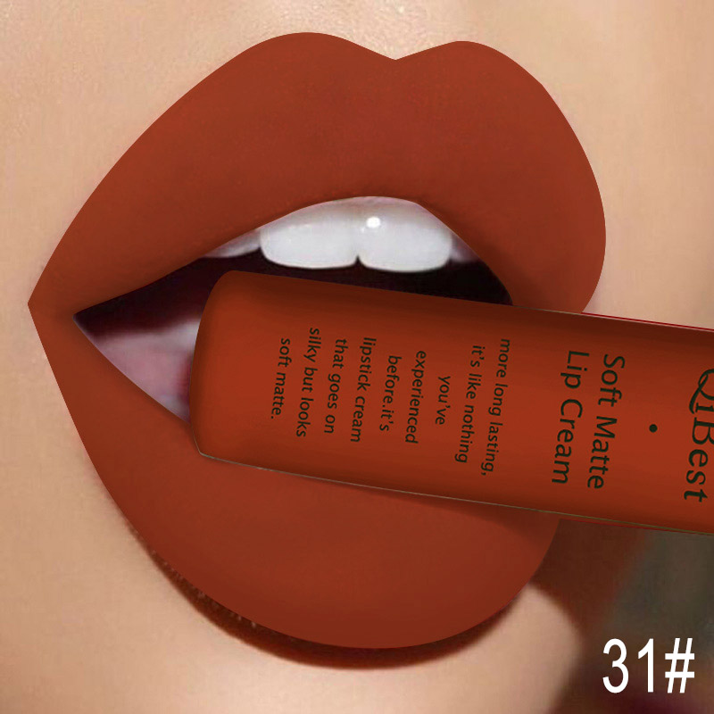 Qibest Makeup Brand Matte Lipstick (11)