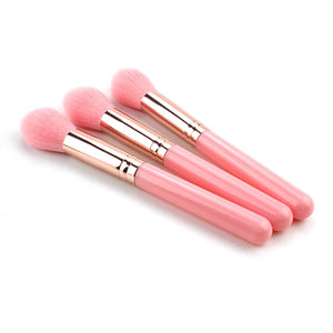Highlight Brush Giveaway Makeup