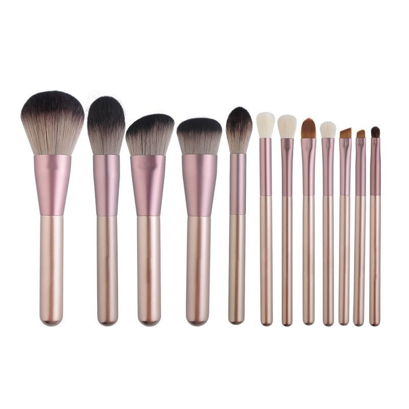 Makeup Brush (12)