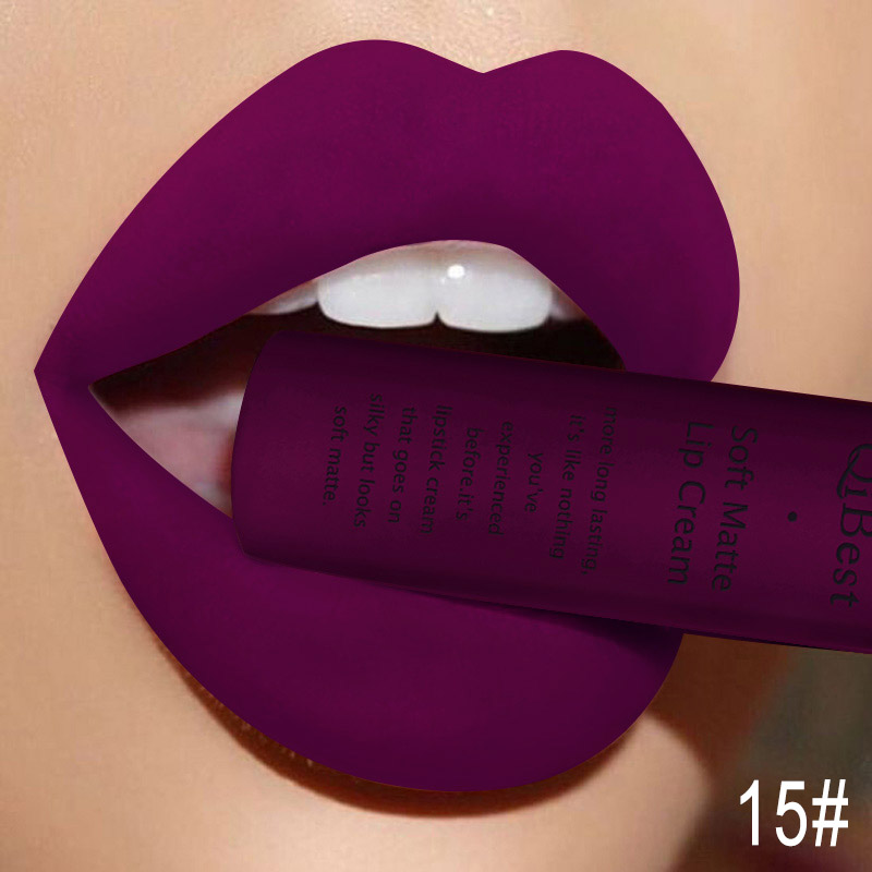 Qibest Makeup Brand Matte Lipstick (8)