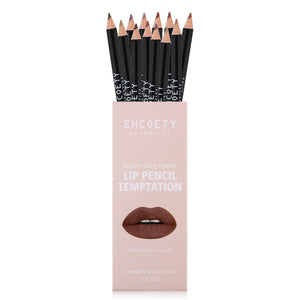 12 Color Matte Lipstick Lip Liner Suit