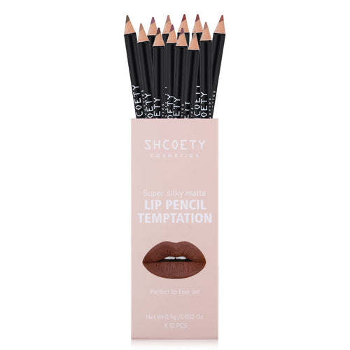 12 Color Matte Lipstick Lip Liner Suit (1)