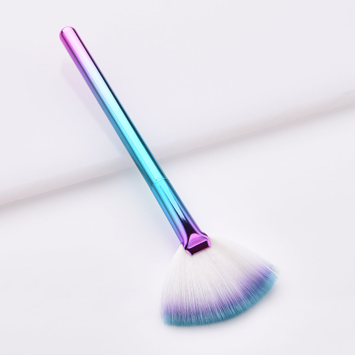 Fan Makeup Brush (2)