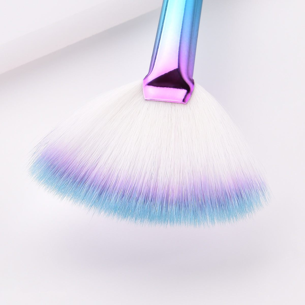 Fan Makeup Brush (3)