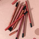 Matte Lipstick Lipliner Shade Velvet Mist Lipstick