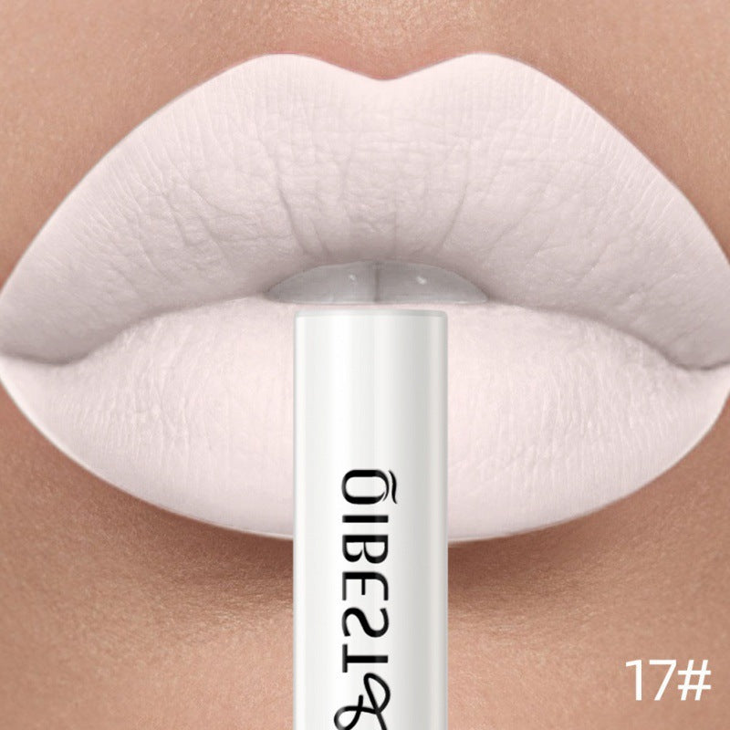 24-Color Matte Lipstick (9)