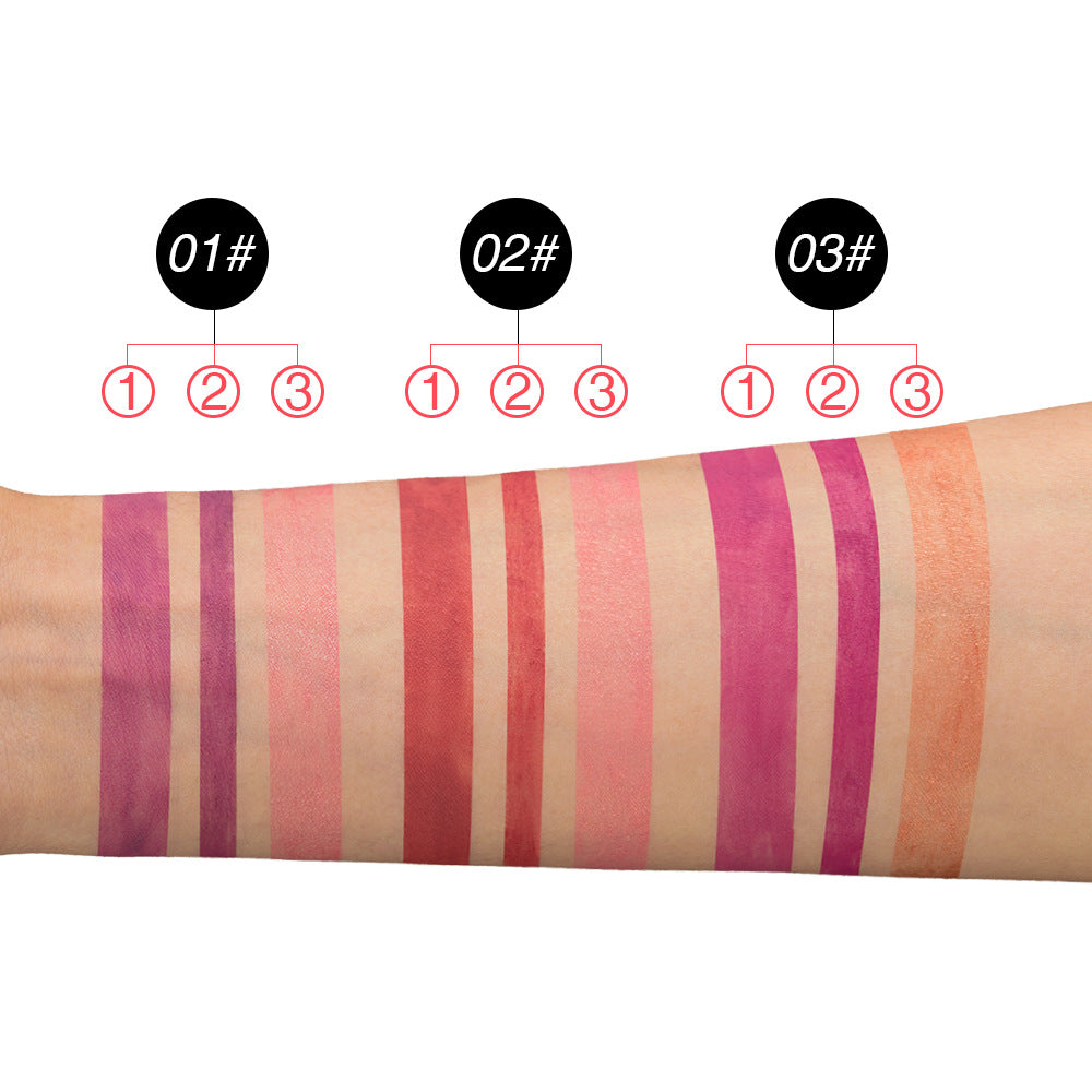 Lipstick Matte Pearl Gloss Lipstick Pen (6)
